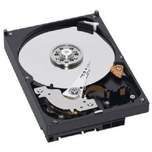 HDD WD BLUE 1 TB SATA 3 3.5" (WD10EZEX)