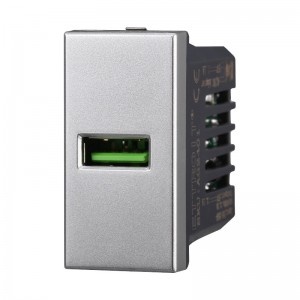 ETTROIT PRESA USB (USB-A) - SERIE MOON - GRIGIO (AG2401) Compatibile ABB Axolute